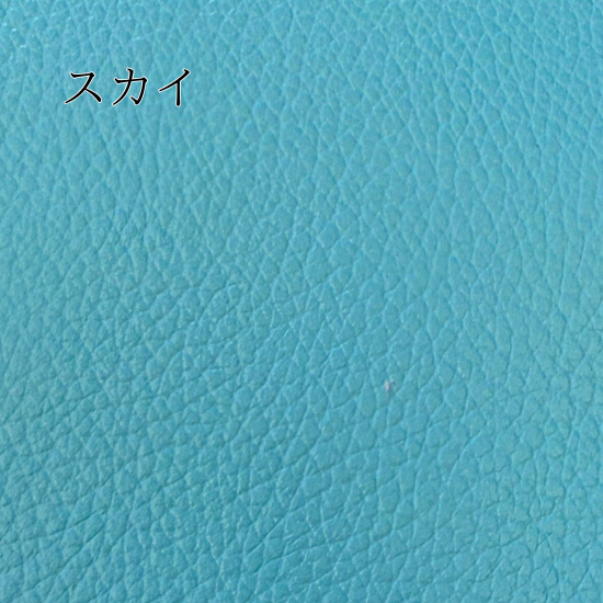 スカイ