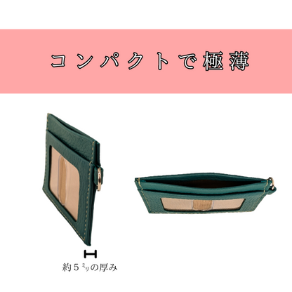 横型シンプルパスケース　小判フィルムで出し入れ楽々